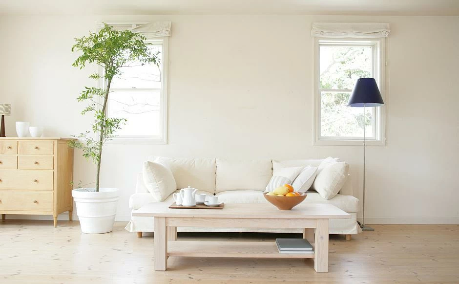 Deals Touch Store -Deals Touch Store 253926ddc78b41a88e87ac96d7ba2a69 1