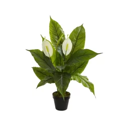 Buy 🥰 Classic Touch Glass Vase With Gold Tone Base White 😀