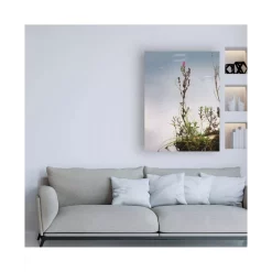 Cheapest 🥰 Champion 👩 Women's Sport Soft Touch Bike Shorts Sd Multi Cool 🥰