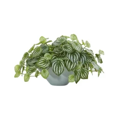 Deals Touch Store -Deals Touch Store unnamed file 286