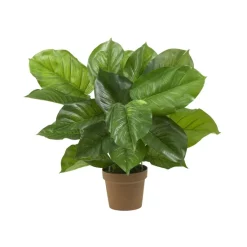 Top 10 ✔️ Brabantia Touch Top Can, 10.6 Gallon Matte Steel 🔔