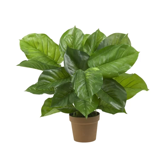 Top 10 βοΈ Brabantia Touch Top Can, 10.6 Gallon Matte Steel π 3 Top 10 βοΈ Brabantia Touch Top Can, 10.6 Gallon Matte Steel π