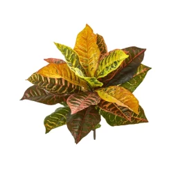 Top 10 βοΈ Brabantia Touch Top Can, 10.6 Gallon Matte Steel π 10 Top 10 βοΈ Brabantia Touch Top Can, 10.6 Gallon Matte Steel π -Deals Touch Store unnamed file 292