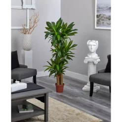 Best reviews of 👍 Nearly Natural 6' Dracaena Real Touch Artificial Plant Green 🎉