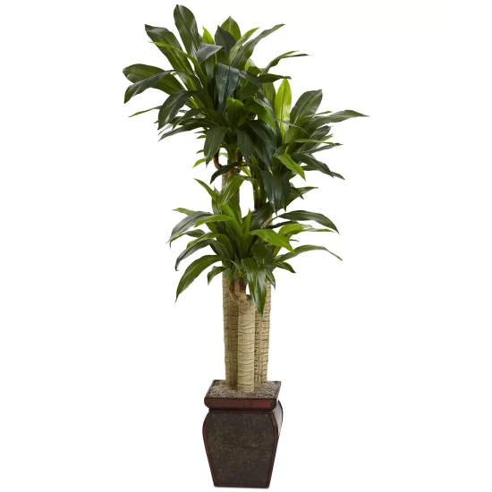 Outlet π Nearly Natural 4.5' Cornstalk Dracaena Real Touch Artificial Plant In Vase Green β 4 Outlet π Nearly Natural 4.5' Cornstalk Dracaena Real Touch Artificial Plant In Vase Green β - Image 2