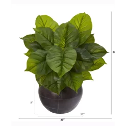 Cheapest ❤️ Touched By Nature Baby 👧 Girls And Baby Boys Organic Cotton 🧦 Socks, 12-Pack White 🔔