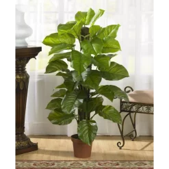 Buy 𧨠Touched By Nature Organic Headbands, 5-Pack, One Size Heart π€©