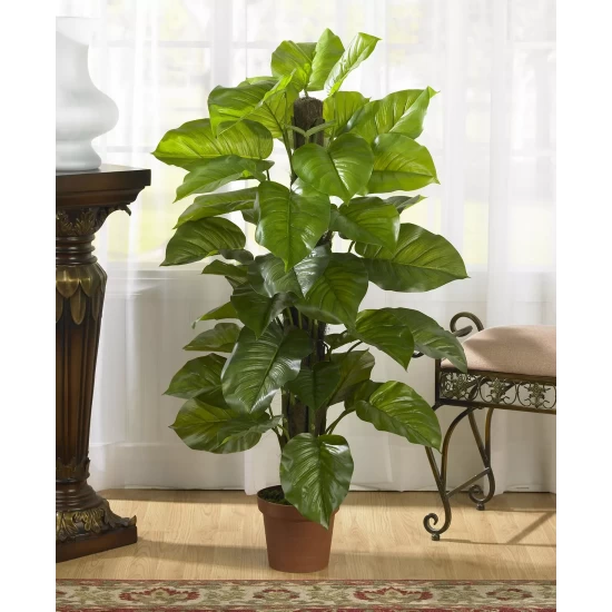 Cheap π Nearly Natural 52 Large Leaf Philodendron Real Touch Plant Green β€οΈ 5 Cheap π Nearly Natural 52 Large Leaf Philodendron Real Touch Plant Green β€οΈ - Image 3