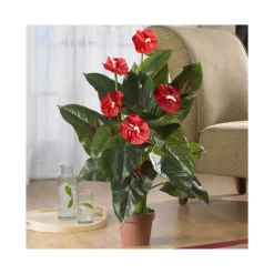 Wholesale 😍 Isotoner Signature Men's Tech Stretch Gloves Charcoal ✨