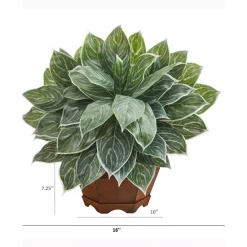 Cheapest 🔥 Nearly Natural 18in. Silver Aglaonema Artificial Plant In Decorative Planter Real Touch Green 👏 -Deals Touch Store unnamed file 322
