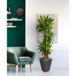 Budget 😀 Touch By Alyssa Milano 👩 Women's Heather Gray, Black Pittsburgh Steelers Superstar Dip-Dye Crop Pullover Hoodie 🎉 -Deals Touch Store unnamed file 345