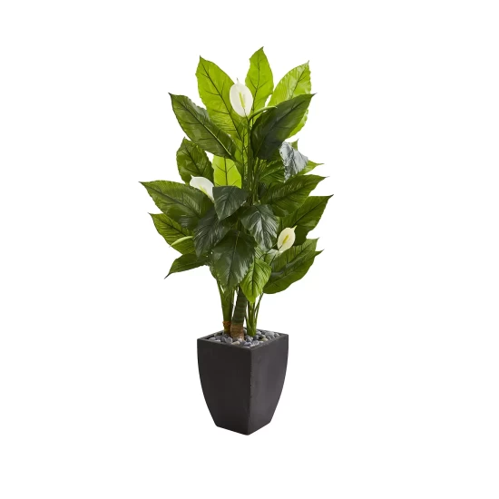Wholesale π Nearly Natural 63β Spathiphyllum Artificial Plant In Black Planter (Real Touch) Green π 4 Wholesale π Nearly Natural 63β Spathiphyllum Artificial Plant In Black Planter (Real Touch) Green π - Image 2