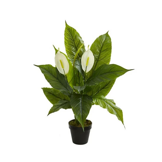 Coupon π― Nearly Natural 26β Spathiphyllum Artificial Plant (Real Touch) Green π₯° 3 Coupon π― Nearly Natural 26β Spathiphyllum Artificial Plant (Real Touch) Green π₯°