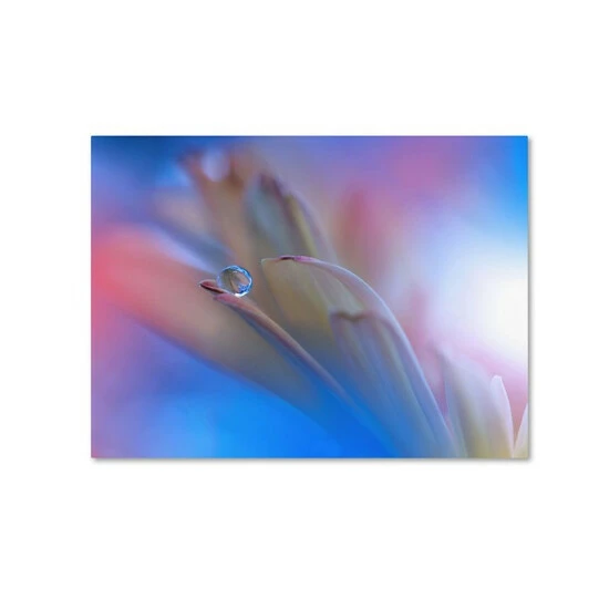 Best Sale β¨ Trademark Global Juliana Nan 'Touch Me Softly' Canvas Art - 32 X 24 X 2 Multi π 3 Best Sale β¨ Trademark Global Juliana Nan 'Touch Me Softly' Canvas Art - 32 X 24 X 2 Multi π