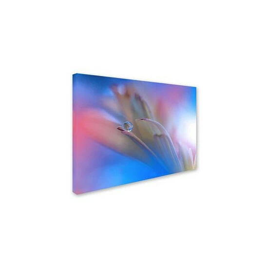 Best Sale β¨ Trademark Global Juliana Nan 'Touch Me Softly' Canvas Art - 32 X 24 X 2 Multi π 4 Best Sale β¨ Trademark Global Juliana Nan 'Touch Me Softly' Canvas Art - 32 X 24 X 2 Multi π - Image 2