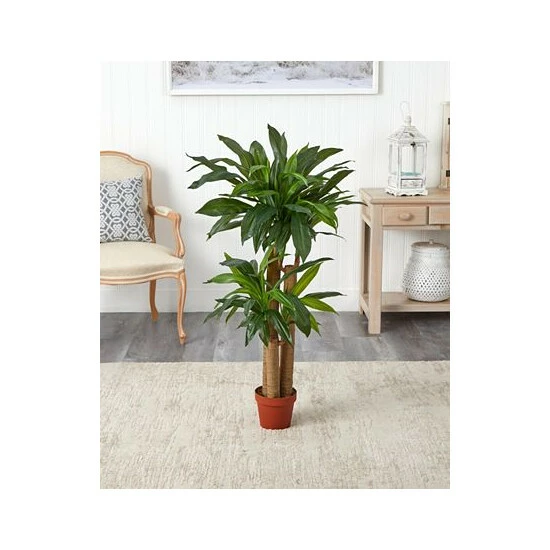 Budget β€οΈ Nearly Natural 4' Corn Stalk Dracaena Real Touch Plant Green π 5 Budget β€οΈ Nearly Natural 4' Corn Stalk Dracaena Real Touch Plant Green π - Image 3