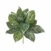 Promo 🔥 Nearly Natural 21” Silver Aglaonema Artificial Plant (Real Touch) (Set Of 6) Green 🔔