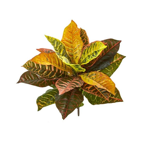 Hot Sale π― Nearly Natural 21β Garden Croton Artificial Plant (Real Touch) (Set Of 4) Mixed π 3 Hot Sale π― Nearly Natural 21β Garden Croton Artificial Plant (Real Touch) (Set Of 4) Mixed π