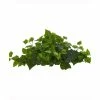 New 👍 Nearly Natural 24in. London Ivy Artificial Ledge Plant Real Touch Green 🧨 -Deals Touch Store unnamed file 502