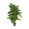 Cheapest ❤️ Nearly Natural 5' Dieffenbachia Silk Plant - Real Touch Green 🎉 -Deals Touch Store unnamed file 507