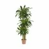 Discount ✔️ Nearly Natural 57 Corn Stalk Dracaena Real Touch Plant Green 🥰