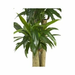 Discount ✔️ Nearly Natural 57 Corn Stalk Dracaena Real Touch Plant Green 🥰 -Deals Touch Store unnamed file 523