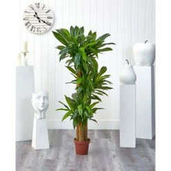 Discount ✔️ Nearly Natural 57 Corn Stalk Dracaena Real Touch Plant Green 🥰 -Deals Touch Store unnamed file 524