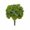 Discount β€οΈ Nearly Natural 14β Peperomia Artificial Plant (Set Of 6) (Real Touch) Green π 2 Discount β€οΈ Nearly Natural 14β Peperomia Artificial Plant (Set Of 6) (Real Touch) Green π -Deals Touch Store unnamed file 534