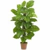 Cheap 🛒 Nearly Natural 52 Large Leaf Philodendron Real Touch Plant Green ❤️ -Deals Touch Store unnamed file 538