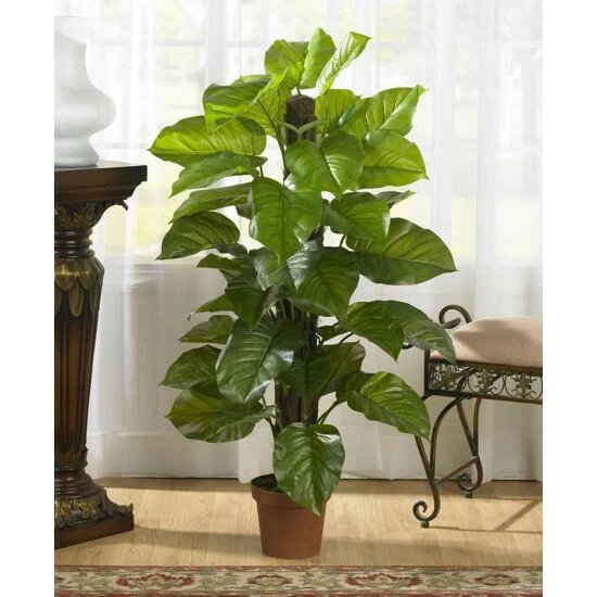 Cheap π Nearly Natural 52 Large Leaf Philodendron Real Touch Plant Green β€οΈ 4 Cheap π Nearly Natural 52 Large Leaf Philodendron Real Touch Plant Green β€οΈ - Image 2
