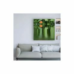 Buy 🛒 Trademark Global Beata Czyzowska Young BC A Touch Of Orange Canvas Art - 15.5 X 21 Multi 🛒 -Deals Touch Store unnamed file 542