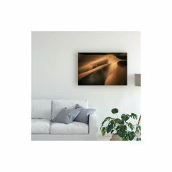 Deals 🔥 Trademark Global Babak Mehrafshar Bob Touch The Wind Canvas Art - 37 X 49 Multi 🎉 -Deals Touch Store unnamed file 553