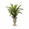 Coupon 🎉 Nearly Natural 5' Dracaena Plant W/ Urn - Real Touch Green ❤️ -Deals Touch Store unnamed file 564