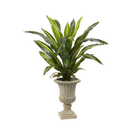 Coupon π Nearly Natural 5' Dracaena Plant W/ Urn - Real Touch Green β€οΈ 3 Coupon π Nearly Natural 5' Dracaena Plant W/ Urn - Real Touch Green β€οΈ
