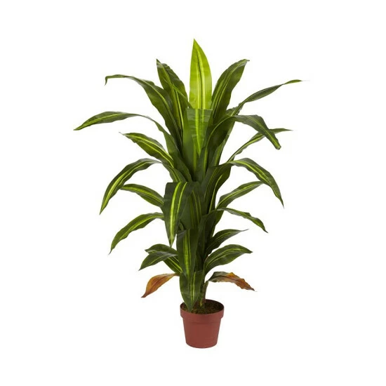 Buy 𧨠Nearly Natural 4' Dracaena Silk Plant - Real Touch Green π 3 Buy 𧨠Nearly Natural 4' Dracaena Silk Plant - Real Touch Green π