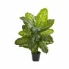 Promo 🔥 Nearly Natural 34” Dieffenbachia Artificial Plant (Real Touch) Green ⭐