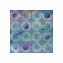 Buy 🧨 Trademark Global Danhui Nai Touching Circles II Canvas Art - 15 X 20 Multi ⭐