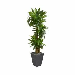 Hot Sale 🤩 Nearly Natural 5.5' Cornstalk Dracaena Artificial Plant In Slate Planter - Real Touch Green 👏
