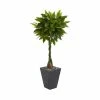Discount π₯ Nearly Natural 5' Money Artificial Tree In Slate Planter - Real Touch Green π₯° 1 Discount π₯ Nearly Natural 5' Money Artificial Tree In Slate Planter - Real Touch Green π₯° -Deals Touch Store unnamed file 662