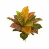 Cheap ❤️ Nearly Natural 17” Garden Croton Artificial Plant (Real Touch) (Set Of 6) Multi 👏 -Deals Touch Store unnamed file 663