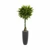 New 💯 Nearly Natural 6' Money Artificial Tree In Gray Cylinder Planter - Real Touch Green 😉
