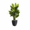 Wholesale π Nearly Natural 63β Spathiphyllum Artificial Plant In Black Planter (Real Touch) Green π 2 Wholesale π Nearly Natural 63β Spathiphyllum Artificial Plant In Black Planter (Real Touch) Green π -Deals Touch Store unnamed file 672