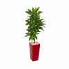 Deals β¨ Nearly Natural 5' Dracaena Artificial Plant In Red Planter - Real Touch Green π₯ 1 Deals β¨ Nearly Natural 5' Dracaena Artificial Plant In Red Planter - Real Touch Green π₯ -Deals Touch Store unnamed file 673